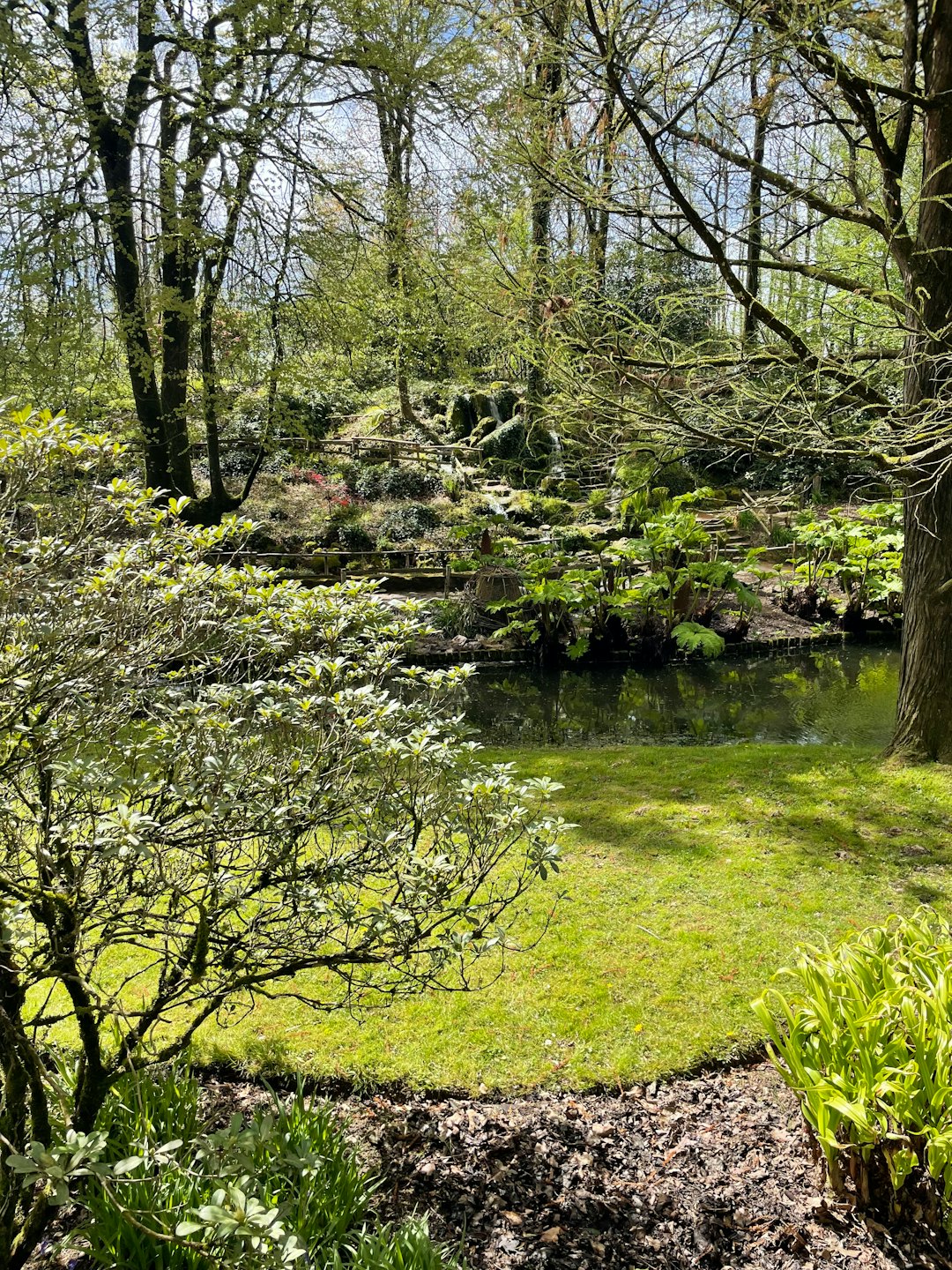 Uno stagno in un giardino con la luce del sole screziata che si riflette sull'acqua.